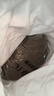 麦富迪狗粮 藻趣儿狗粮成犬粮牛肉螺旋藻 均衡营养15kg/30斤 实拍图
