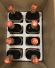 石库门 红色峥嵘2001红标特型半干黄酒 12度350ml*8瓶整箱上海老酒 350mL 8瓶 整箱装 实拍图