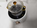 苏泊尔（SUPOR）迷你电陶炉煮茶器煮茶炉煮茶壶养生围炉煮茶茶艺炉泡茶家用办公老白茶黑茶花茶不挑器具SW-DTL01 实拍图