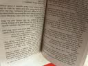Born a Crime 英文原版 天生罪犯 特雷弗诺亚自传 天生有罪 比尔盖茨荐书 蓝思阅读指数HL770L 英文版 实拍图