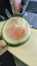 小糖丸迷你小西瓜脆甜多汁 1.5斤-4斤 1.5-2斤（单枚） 实拍图