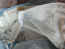 金号纯棉被套 A类抗菌防螨100%全棉被罩 双人180*220 竹生空野 实拍图