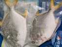 翔泰 海南金鲳鱼净重900g 2条装  鱼类生鲜 火锅食材 海鲜水产  实拍图