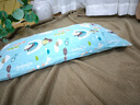 原野春荞儿童枕头荞麦抑菌1-2-6-12岁以上加长幼儿园孩子睡眠枕四季通用 动物世界【10A抑菌+升级双层芯】 单只 32cm*64cm (大号:6-12岁)高度可调 实拍图