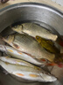 达亿瓦（DAIWA）一击 轻量鲤鱼鲫鱼草鱼罗非 进口鱼竿手杆 轻硬挺 休闲台钓 7.2m 一击F 72.K（综合） 不支持使用/试用后退换货 实拍图