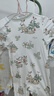 贝肽斯婴儿衣服春秋季长袖连体衣纯棉新生儿哈衣男女宝宝初春装睡衣 实拍图