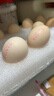 圣迪乐村 安菌新鲜鸡蛋礼盒装 30枚净含量3斤 实拍图