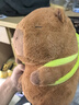 熊猫熊卡皮巴拉玩偶毛绒玩具公仔布娃娃女孩生日礼物女生抱睡枕水豚噜噜 实拍图