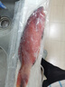 鲟食 海捕东星斑鱼 新鲜冷冻深海石斑鱼生鲜鱼类年货送礼佳品 海捕东星斑 500-600g/条 实拍图