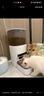 霍曼（Homerun）AI智能宠物自动喂食器视频版 猫狗喂食定时定量摄像头可视 可插卡 实拍图