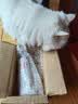 KOJIMA 宠物湿巾猫咪除臭去污猫狗犬猫通用湿巾猫咪狗狗擦泪痕全身清洁 【活动专属】宠物湿巾80片*4袋 实拍图