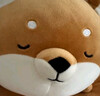 名创优品（MINISO）柴犬系列毛绒公仔趴姿玩具娃娃抱枕睡觉室内卧室办公室生日礼物 实拍图