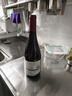 帕斯蒙火烈鸟 西拉Syrah干红葡萄酒单支750ml 智利原瓶原装进口红酒一瓶 实拍图