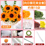 乐哲扭扭棒向日葵花束手工diy材料包全套编织送女朋友生日圣诞节礼物 实拍图
