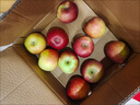 阿克苏苹果新疆阿克苏冰糖心苹果 时令苹果水果 丑苹果红富士 彩箱礼盒大果70-85mm净重8.5斤+ 实拍图