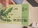南同四海南京同仁堂蒲公英茶包搭野生蒲公英散结茶中药材三角茶包 实拍图