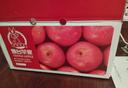 京鲜生 烟台红富士苹果 净重10斤 单果190g以上 生鲜水果 礼盒装 实拍图