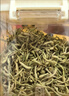 印象堂茶叶花草茶金银花茶浙江菊花茶组合110g共2罐装礼品养生茶 实拍图