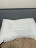 富安娜京爆 枕头芯颈椎枕芯决明子成人枕头两只深度睡眠枕一对装74*48cm 实拍图