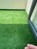 清雅仿真草坪地毯假草皮铺垫塑料户外人造球场人工围挡幼儿园绿色地垫 2厘米全新升级11针加密优质B级款 (2米宽1米长)2平方（最长25m需要多长拍几件） 实拍图