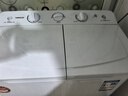 YANGZI扬子集团洗衣机半自动家用宿舍出租房大容量双桶双缸波轮内衣儿童小型迷你甩干脱水家用 12公斤强劲电机-双人款 实拍图