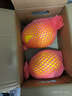 京鲜生 黄金哈密瓜 2粒 单果2.5斤起 净重6-8斤 生鲜水果礼盒 实拍图