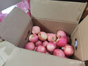 京鲜生 新疆阿克苏冰糖心苹果 净重9斤 果径75mm 新鲜水果 实拍图