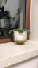 九千谷花盆塑料透明懒人自吸水盆水培水养植物免浇水储水盆口径11cm6025 实拍图
