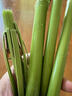 顺丰生鲜冷链当日新鲜5斤崇明甜芦粟甜杆甜高粱杆东北甜杆小甘蔗M 3斤【顺丰】 实拍图