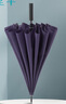 天堂 长柄加大雨伞半自动强抗风商务直杆伞晴雨伞65*16骨11013E紫裳色 实拍图