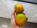 南步湖南洞口雪峰蜜桔 邵阳特产雪峰山宫川薄皮无核蜜橘子新鲜水果 精选5斤 中果 实拍图