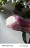 明治meiji蓝莓酸奶味雪糕 46g*10支 彩盒装 实拍图