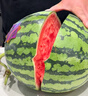 京鲜生 无籽麒麟大西瓜 1粒装 7-9斤 生鲜水果 实拍图