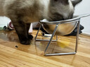 HELLOJOY猫碗狗碗304不锈钢猫食盆防打翻猫咪喝水碗保护颈椎增高宠物饭碗 实拍图