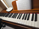 贝琪（Betsy）B351电钢琴88键重锤成人儿童电子钢琴家用练习初学者专业考级钢琴 B353-重锤88键木纹棕 实拍图