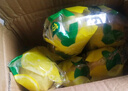 畅果汇四川安岳黄柠檬新鲜水果皮薄当季整箱精选快递随机柠檬孕妇补维C 130-160g 中大果（性价比高） 2斤 实拍图