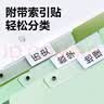 得力(deli)5个装A3旋转抽杆夹双抽杆试卷夹文件夹渐变色小学生初中生高中生试卷收纳 PP686绿色 实拍图