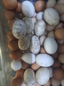 百世富泽（BAISHIFUZE）【百世富泽】黄河滩大鹅蛋新鲜正宗土鹅蛋农家自养孕妇超大鹅蛋 12枚115-130克 实拍图