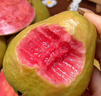 京鲜生 广西红心芭乐 净重3斤单果130g起 番石榴 生鲜水果源头直发 实拍图