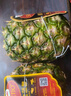 都乐Dole 菲律宾无冠凤梨 菠萝 中果2个*800g起 酸甜可口源头直发包邮 实拍图