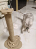 HELLOJOY猫抓柱剑麻猫抓板猫玩具耐抓耐磨不掉屑猫爬架立式自嗨解闷用品 实拍图