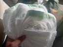 babycare金山茶花拉拉裤XL34片(12-17kg)婴儿尿不湿超薄透气新生柔花苞裤 实拍图