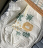 巴布豆新菠萝拉拉裤大码婴儿尿不湿弱酸学行成长裤柔软超薄舒适男女宝宝 新菠萝纸尿裤XXL36片 实拍图