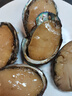 森农乐鲍鱼鲜活冷冻特大生鲜大号贝类海鲜水产超大即食佛跳墙食材鲍鱼汁 14-15只/斤【中大鲍鱼1斤 精品尝鲜】 实拍图