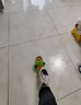 爸爸妈妈儿童玩具脚踩飞碟户外玩具男女孩竹蜻蜓飞盘小象汪汪脚踏弹射飞碟 实拍图
