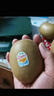佳沛（zespri）新西兰 阳光金奇异果12粒礼盒特大果单果约122-146g 猕猴桃 水果 实拍图