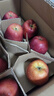 礼多果甘肃天水花牛苹果2025新鲜红蛇果老人小孩粉面水果 需要放粉 净重8.5斤 单果200g+ 实拍图