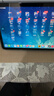 Apple/苹果 iPad mini (A17 Pro) 8.3英寸 平板电脑(256G eSIM版/mini7/MXQ43CH/A)深空灰色 实拍图