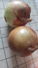 新鲜黄洋葱黄金水果洋葱即食蔬菜调料烧烤食材 新鲜黄洋葱 2斤 含箱 实拍图
