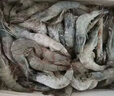 卖鱼郎先生青岛盐冻大虾净重3.6斤 20-25只/斤 白虾基围虾生鲜 虾类 实拍图